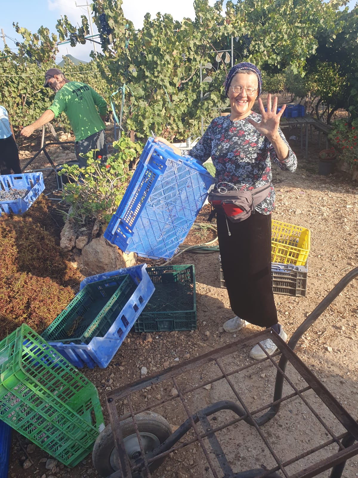 יקב טל מנשה — תמונה 6