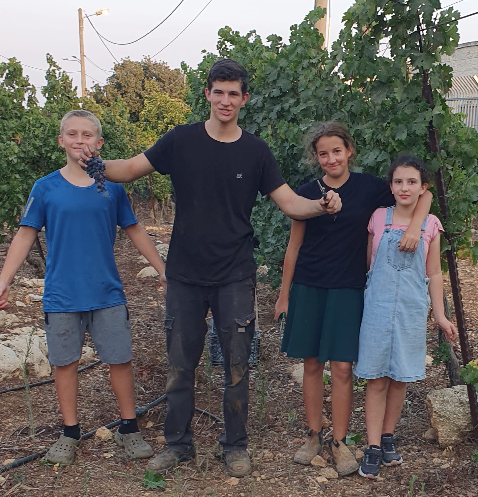 יקב טל מנשה — תמונה 7